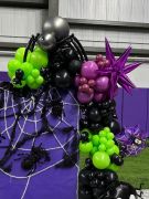 IMG_7055.jpg